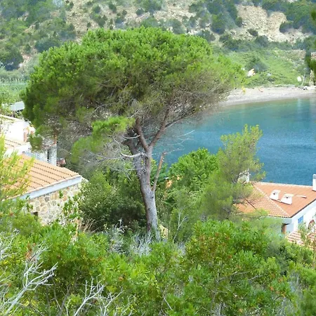 Quinta In *